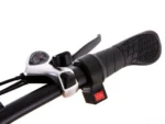 Електрофетбайк Elbike Taiga 3 Twix 2000W 48V 20Ah (26×4″, повний привід) - Зображення 6